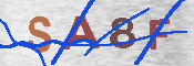 Immagine CAPTCHA